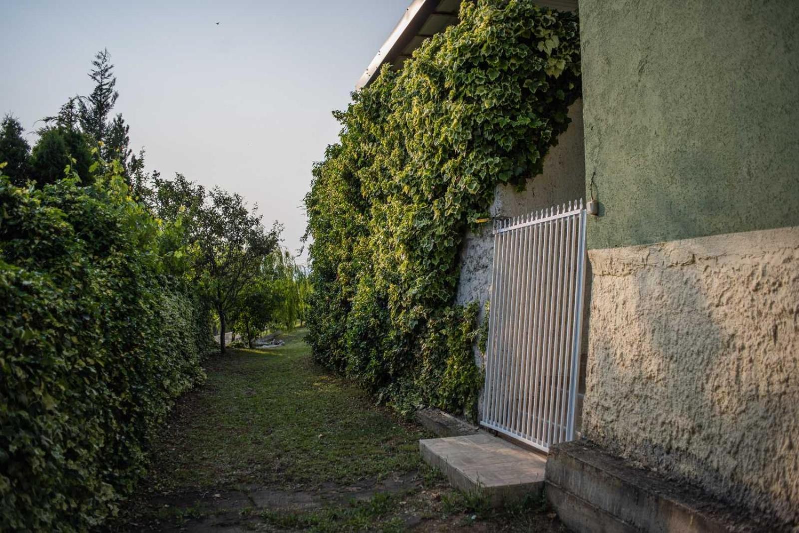 Vacation Home Rot Ohrid Exterior photo